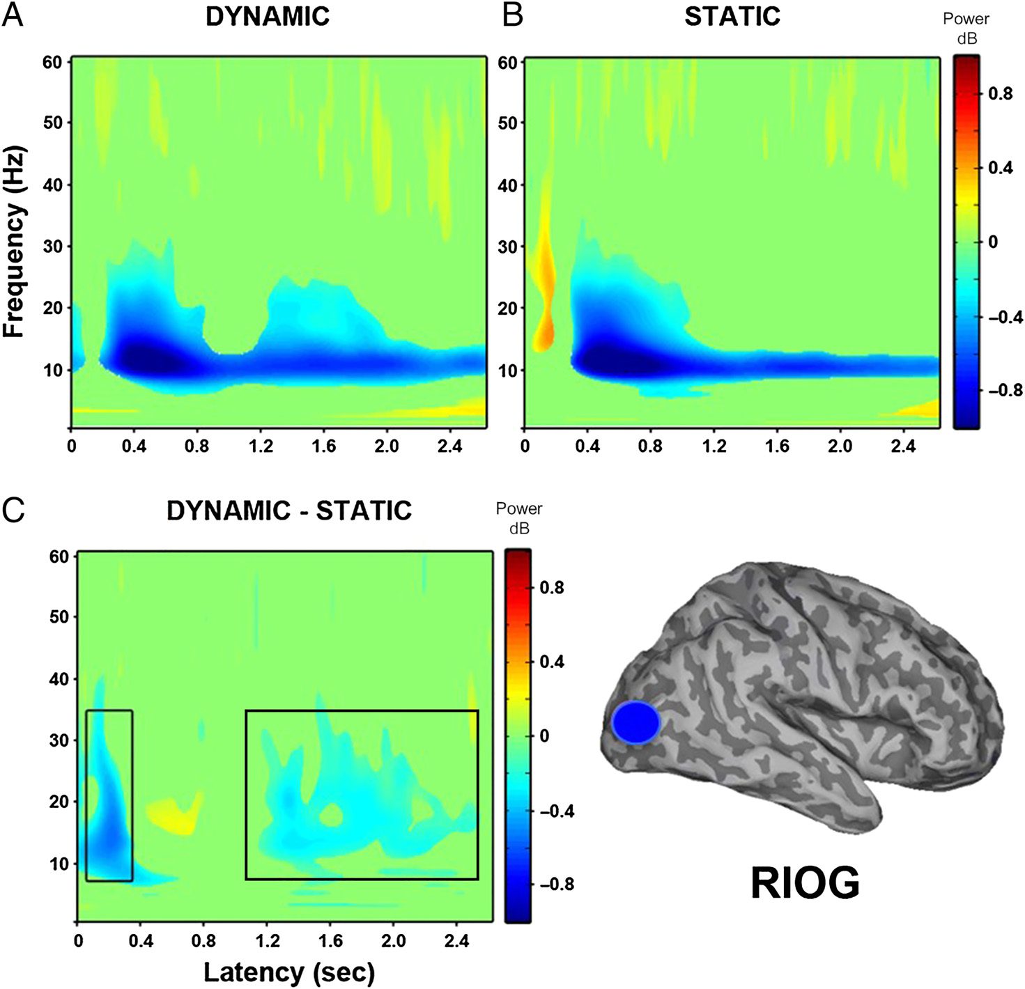 Modulation of Neural Oscillatory Activity image