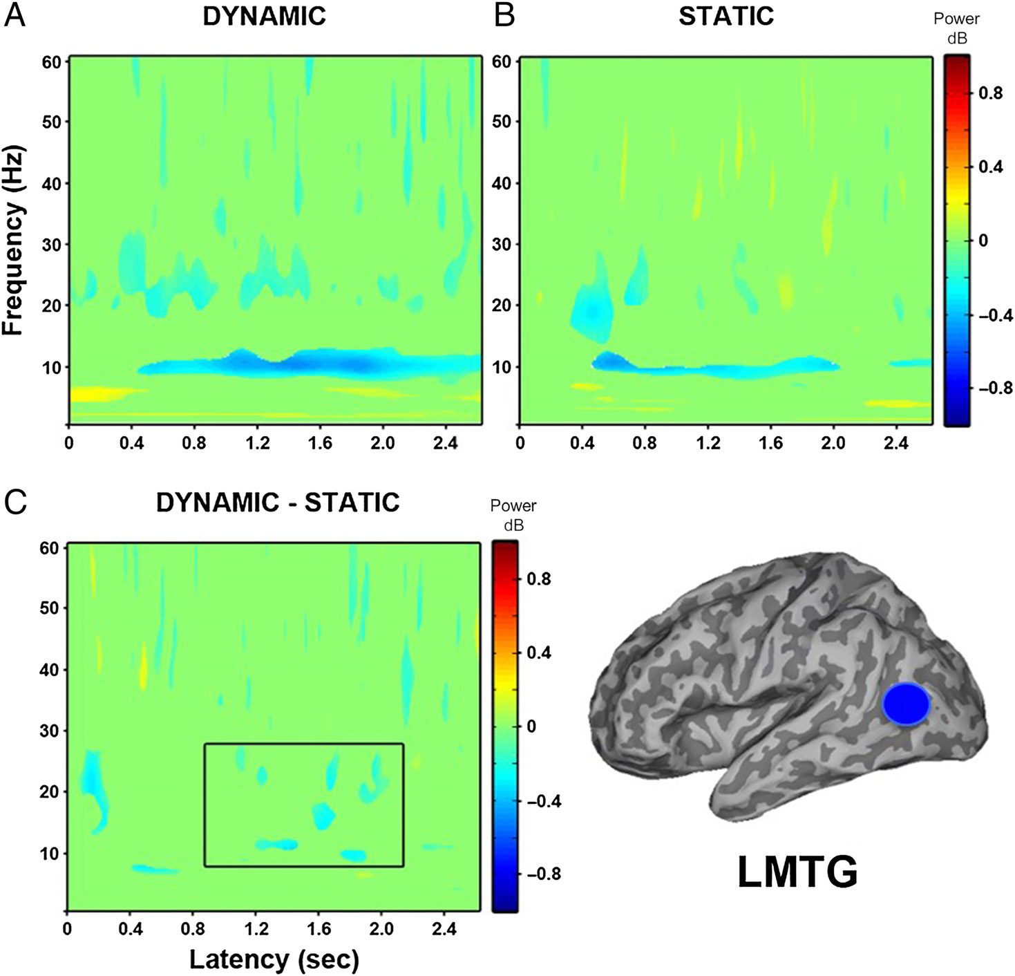 Modulation of Neural Oscillatory Activity image