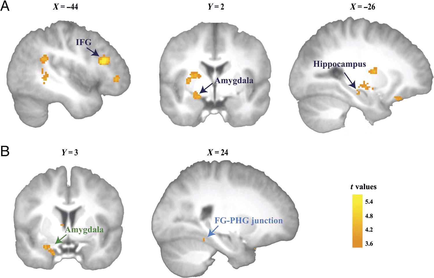 Memory Contextualization: The Role of Prefrontal Cortex image