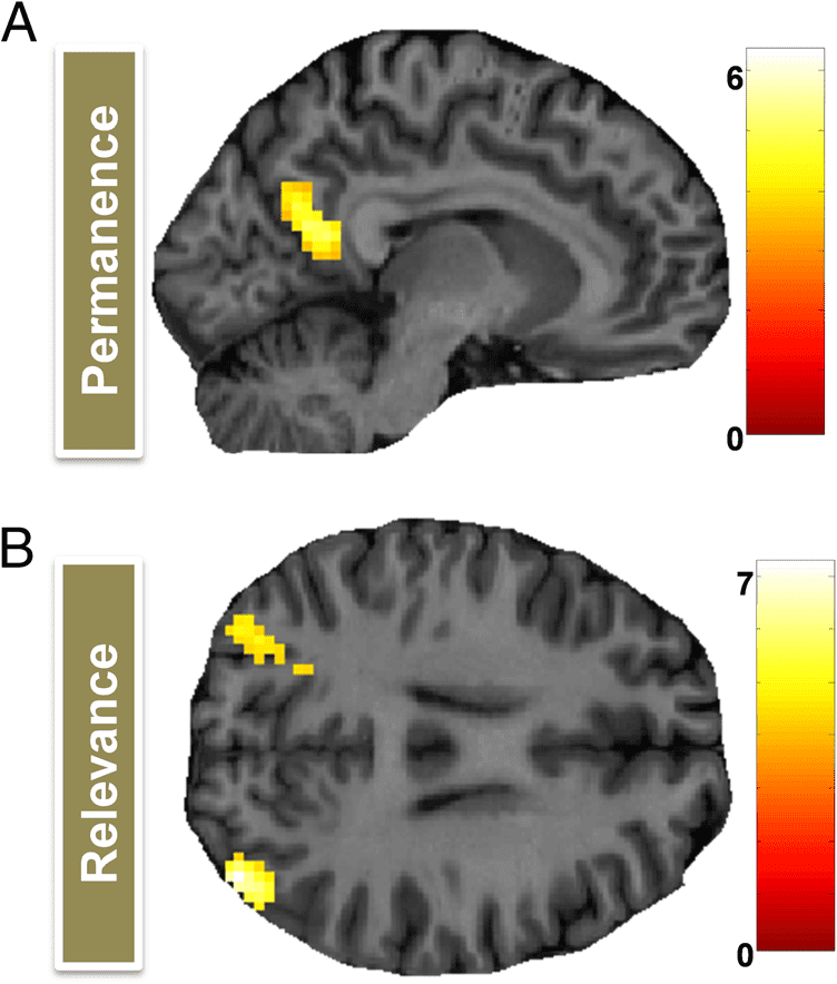 Dissociating Landmark Stability from Orienting Value image