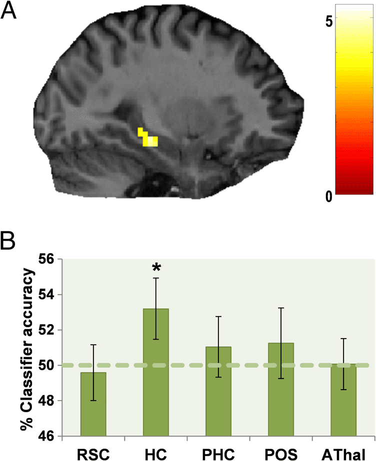 Dissociating Landmark Stability from Orienting Value image