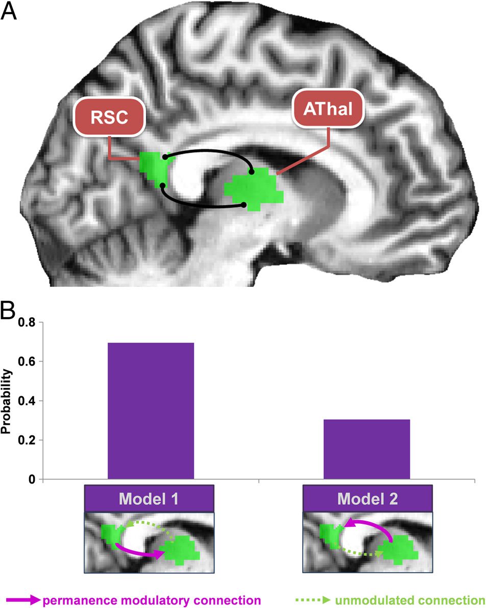 Dissociating Landmark Stability from Orienting Value image