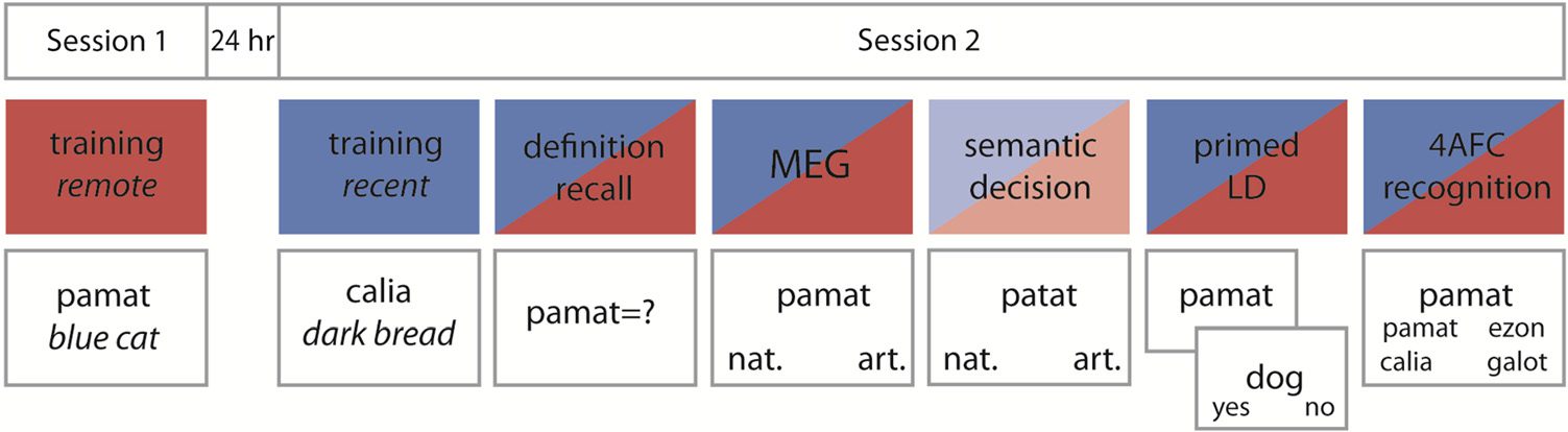 Theta-band Oscillations in the Middle Temporal Gyrus image