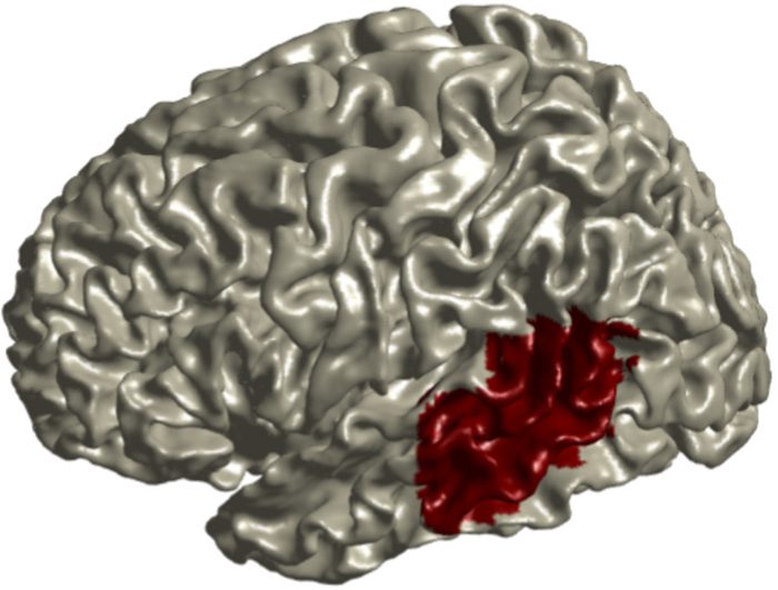 Theta-band Oscillations in the Middle Temporal Gyrus image