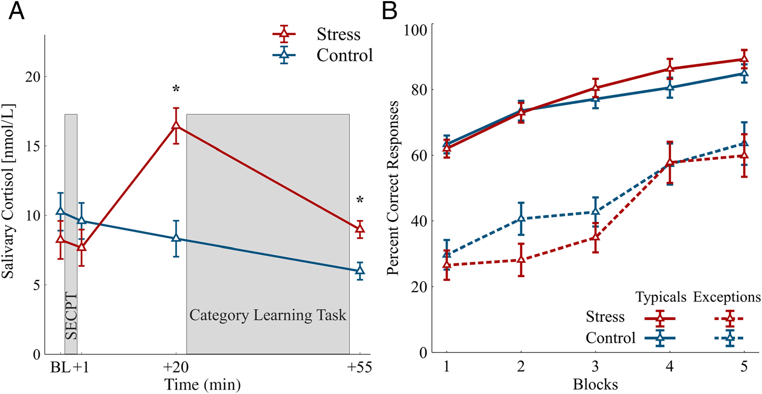 Stress Elevates Frontal Midline Theta in Feedback-based image