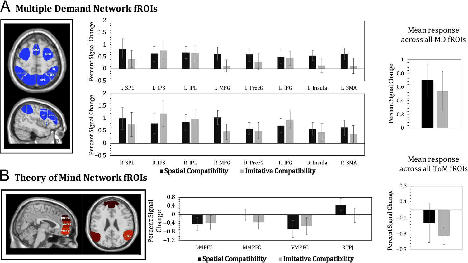 Functional Specificity and Sex Differences in the image