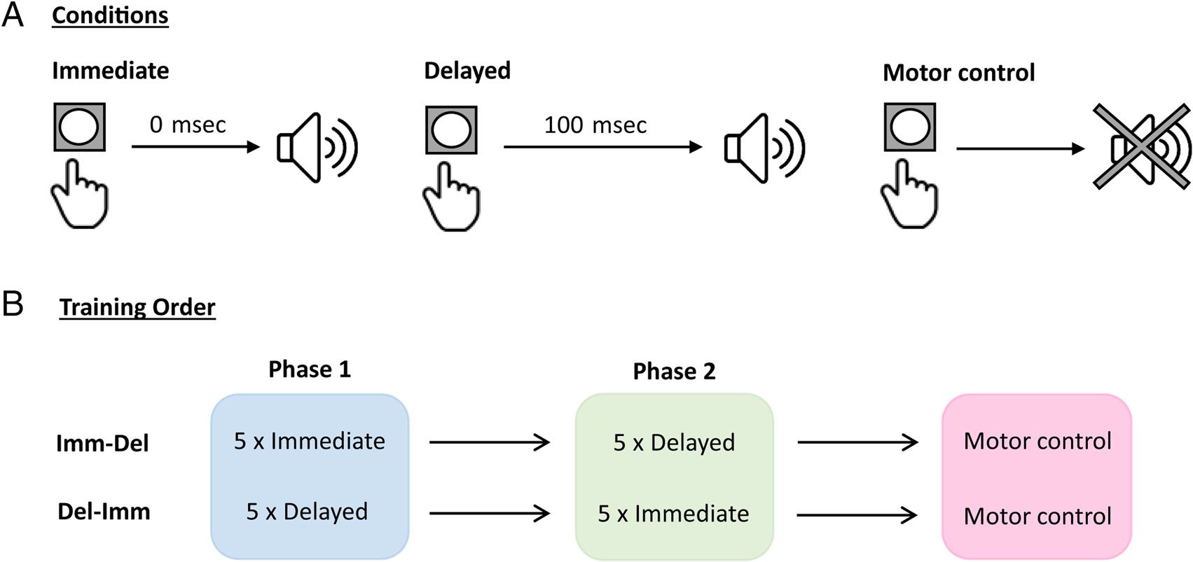 Act Now, Play Later: Temporal Expectations Regarding image