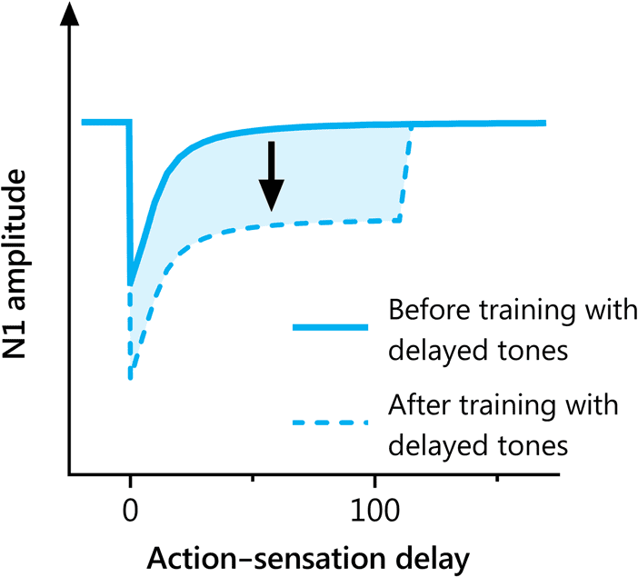 Act Now, Play Later: Temporal Expectations Regarding image