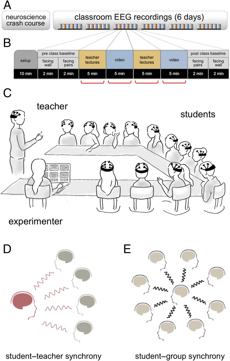 Brain-to-Brain Synchrony and Learning Outcomes Vary by image