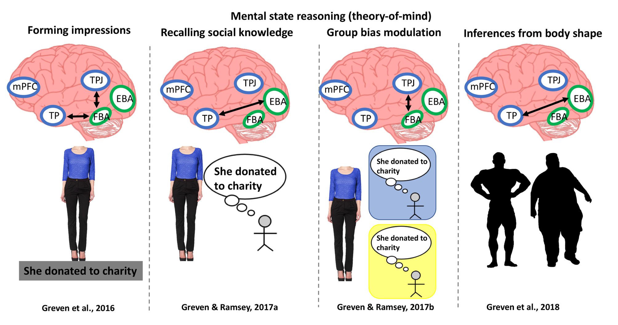 Neural Integration in Body Perception image