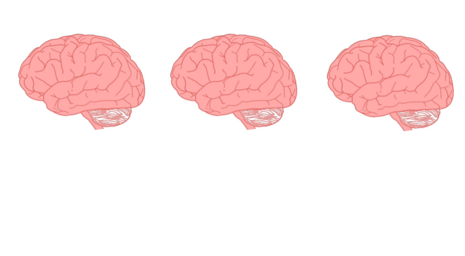 Neural Integration in Body Perception image