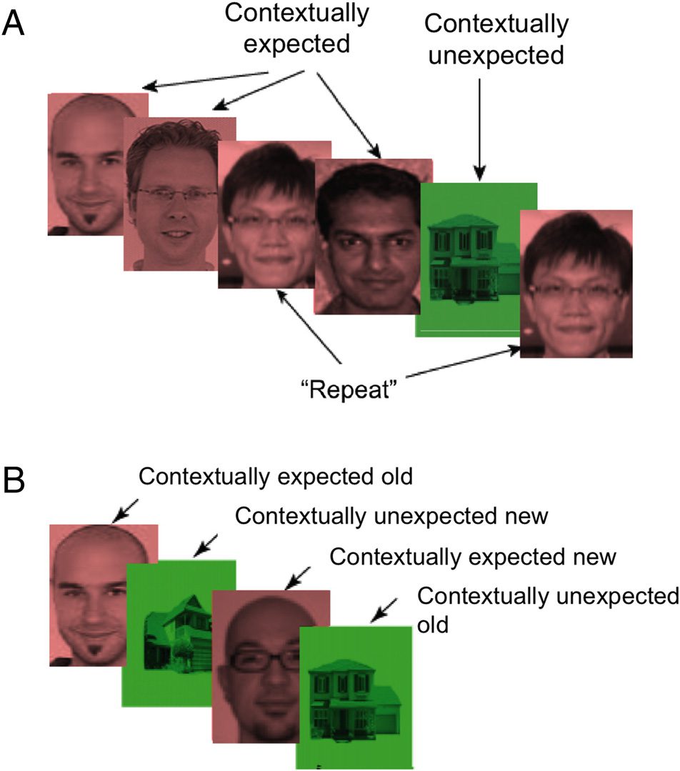 Theta Phase Synchronization between the Human image