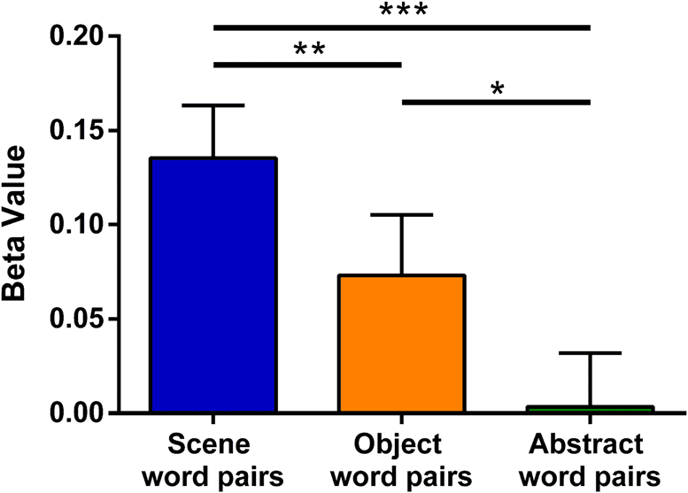 Verbal Paired Associates and the Hippocampus: 图像