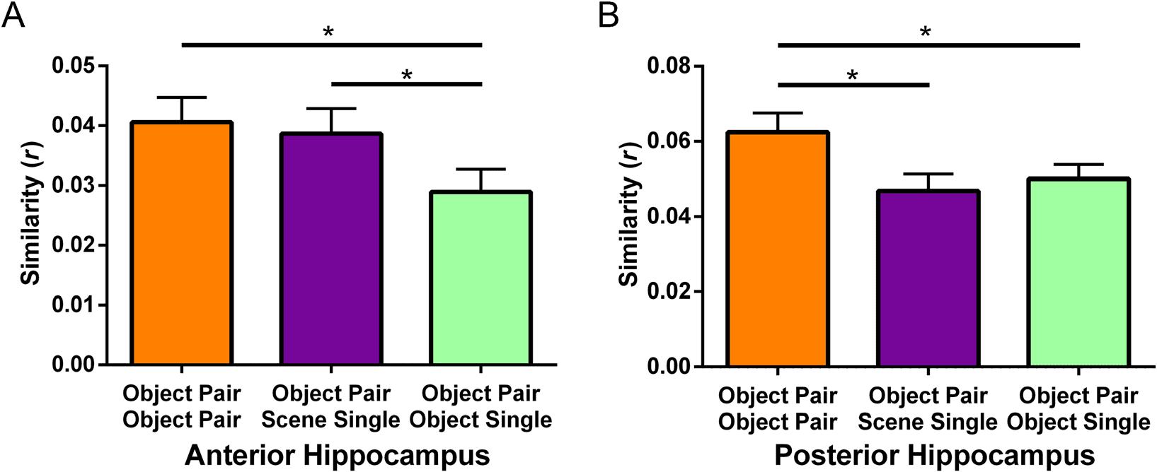 Verbal Paired Associates and the Hippocampus: 图像