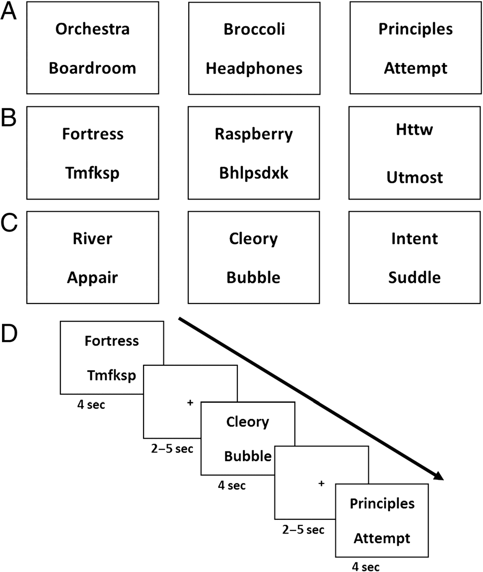 Verbal Paired Associates and the Hippocampus: 图像