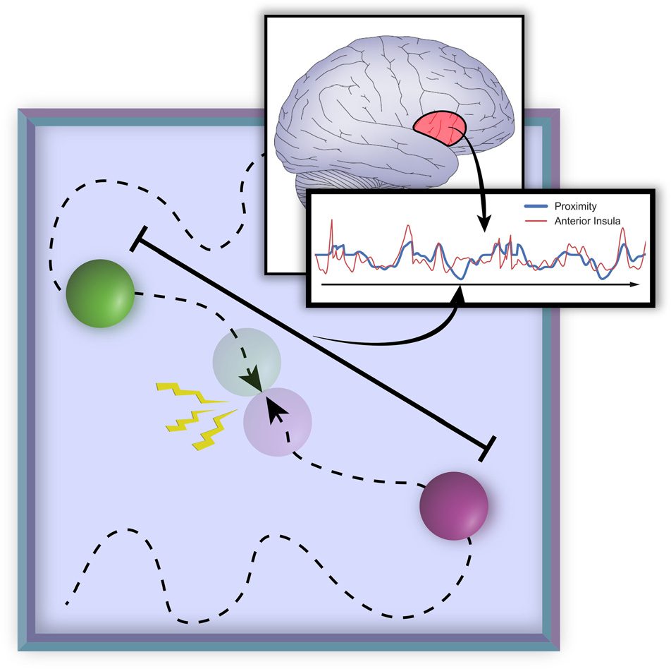 Dynamic Threat Processing image