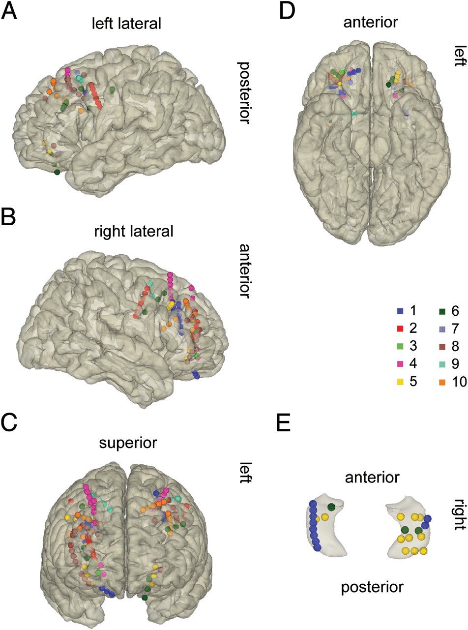 Medial Orbitofrontal Cortex, Dorsolateral Prefrontal image