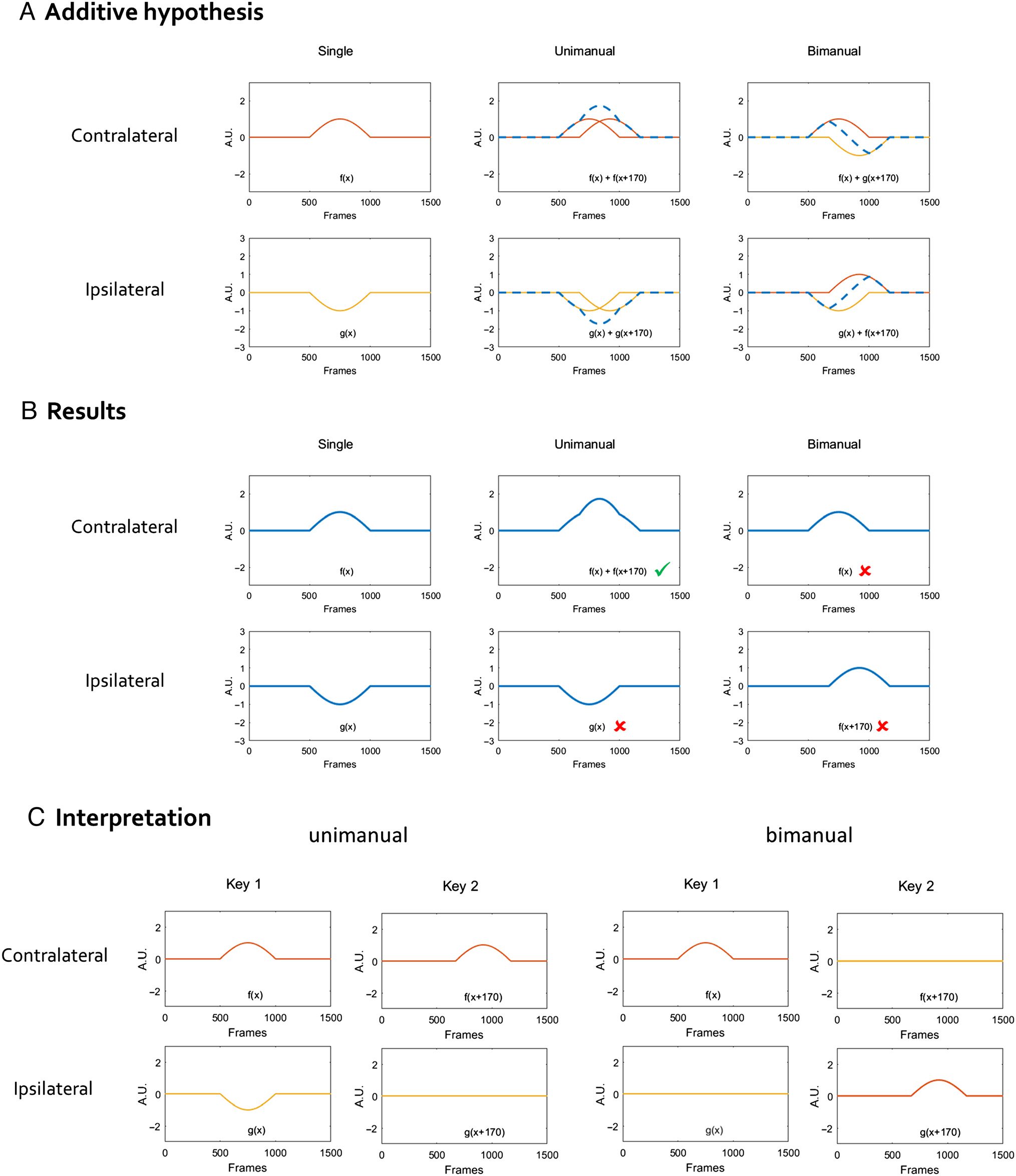 Tracking Keystroke Sequences at the Cortical Level Reveals image