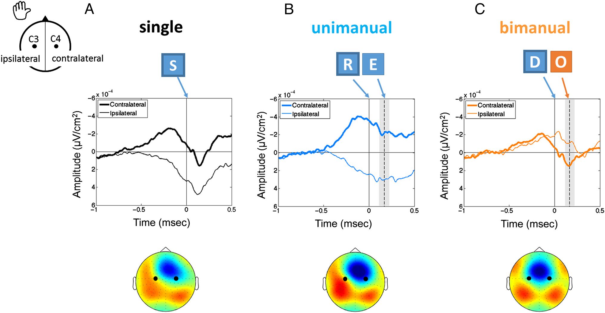 Tracking Keystroke Sequences at the Cortical Level Reveals image