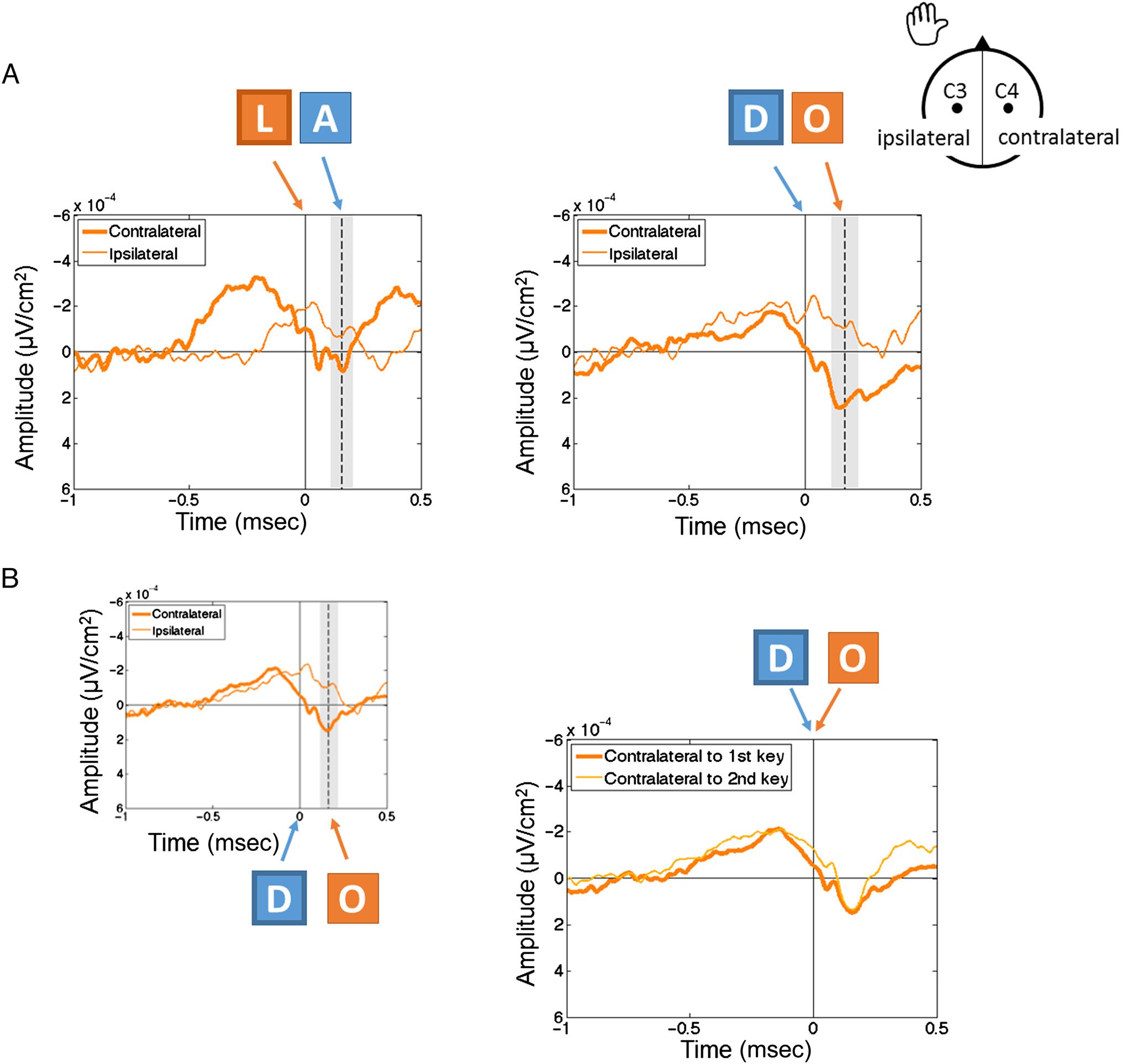 Tracking Keystroke Sequences at the Cortical Level Reveals image