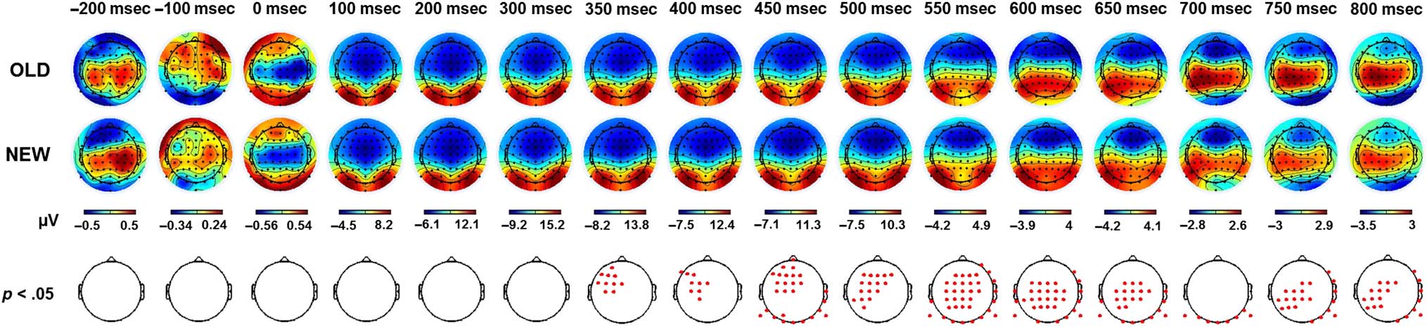 Tracking Your Mind’s Eye during Recollection: imagen