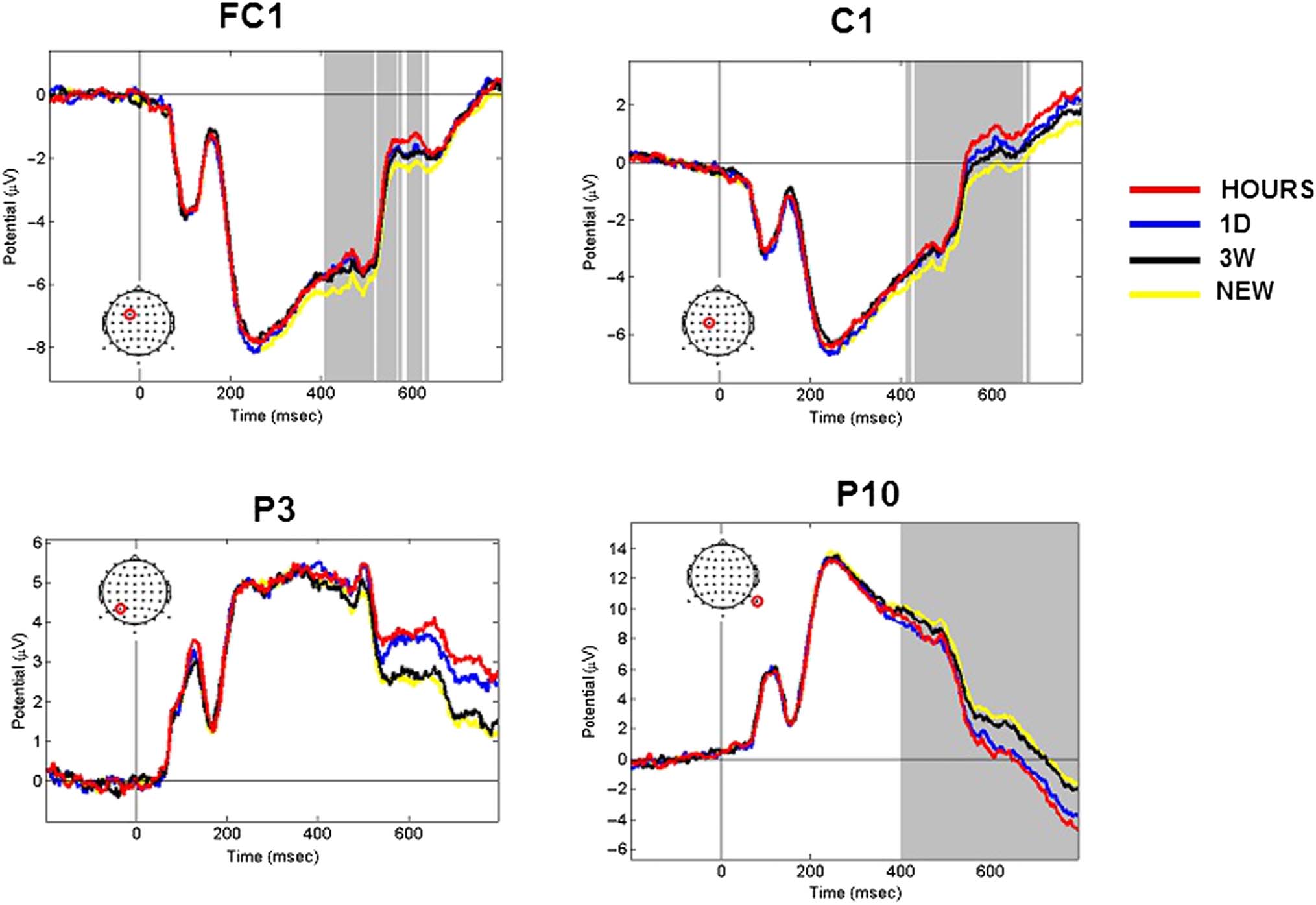 Tracking Your Mind’s Eye during Recollection: imagen