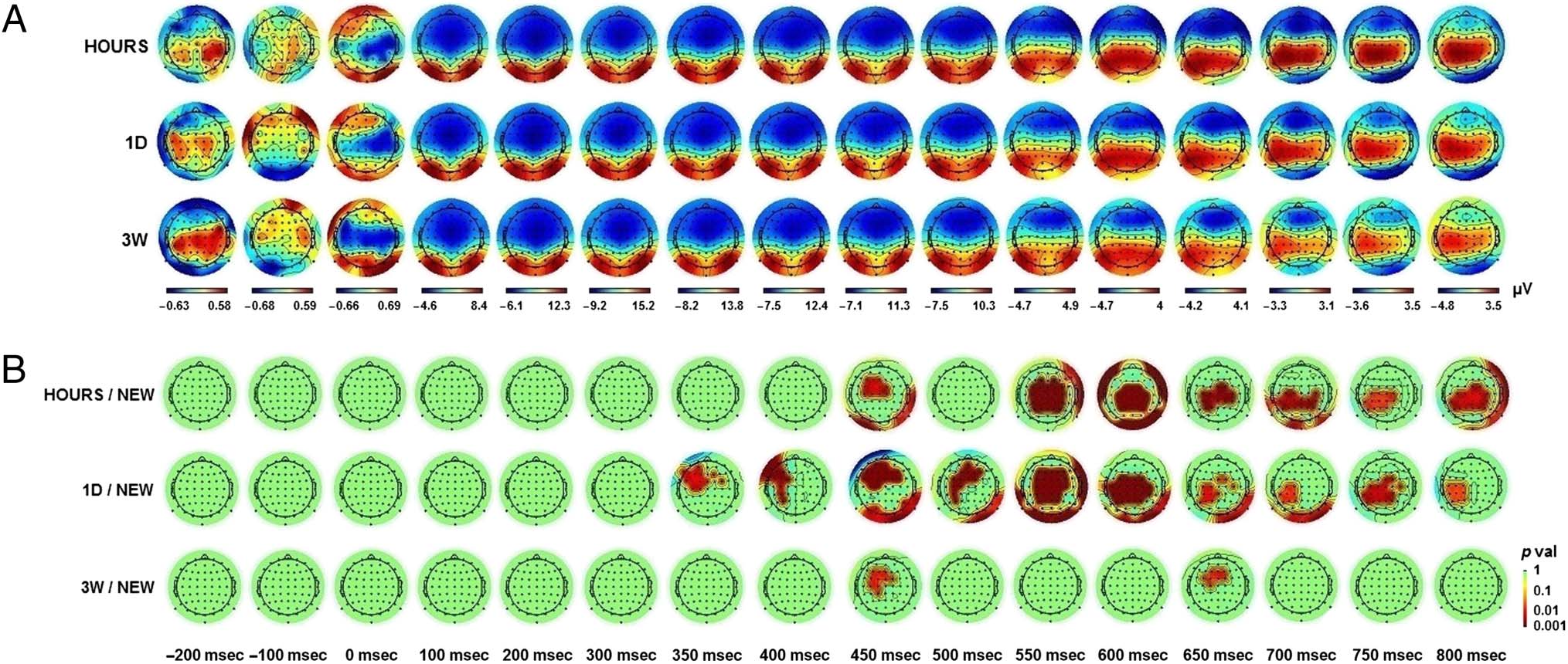 Tracking Your Mind’s Eye during Recollection: imagen