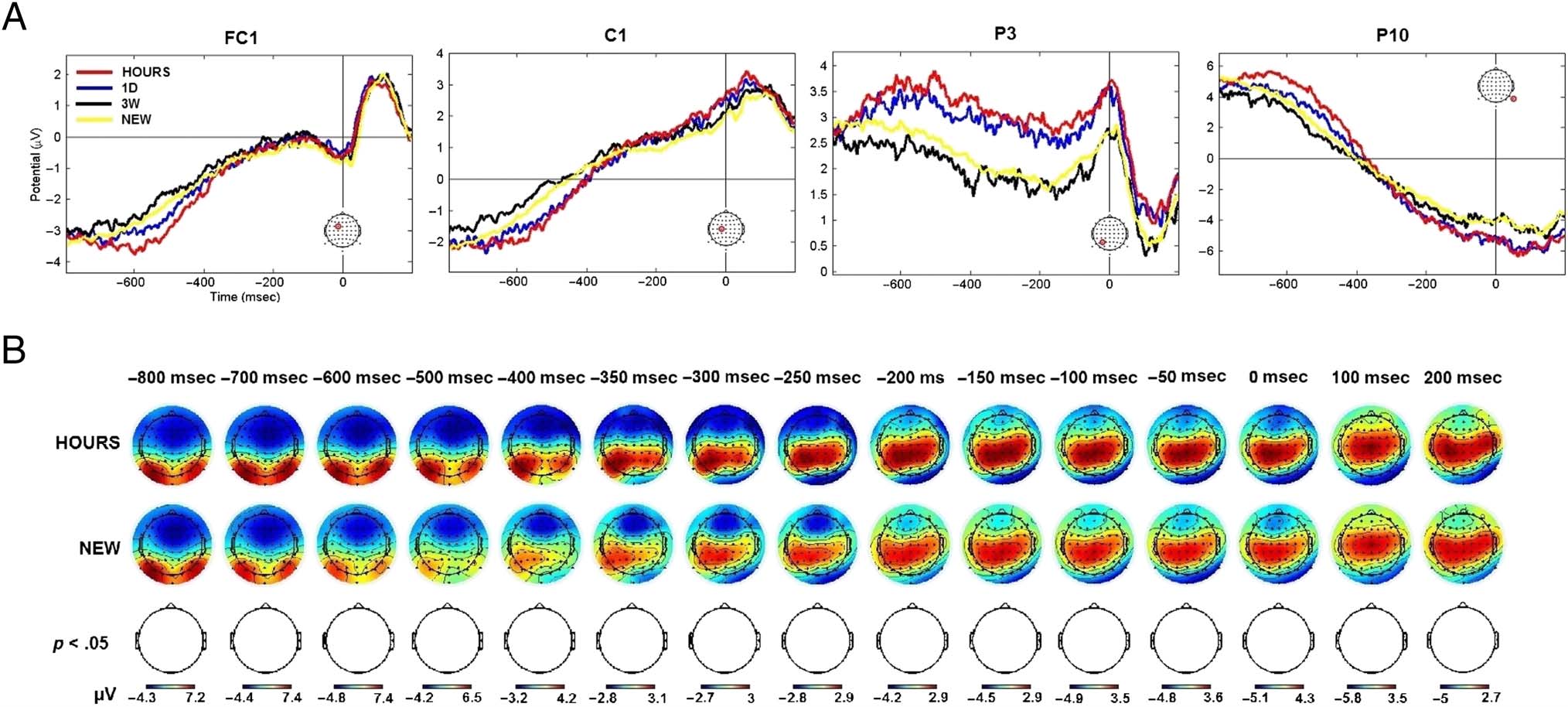 Tracking Your Mind’s Eye during Recollection: imagen