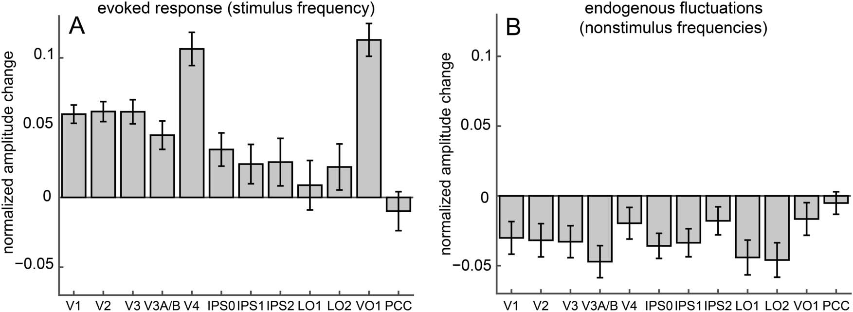 Slow Endogenous Fluctuations in Cortical fMRI image