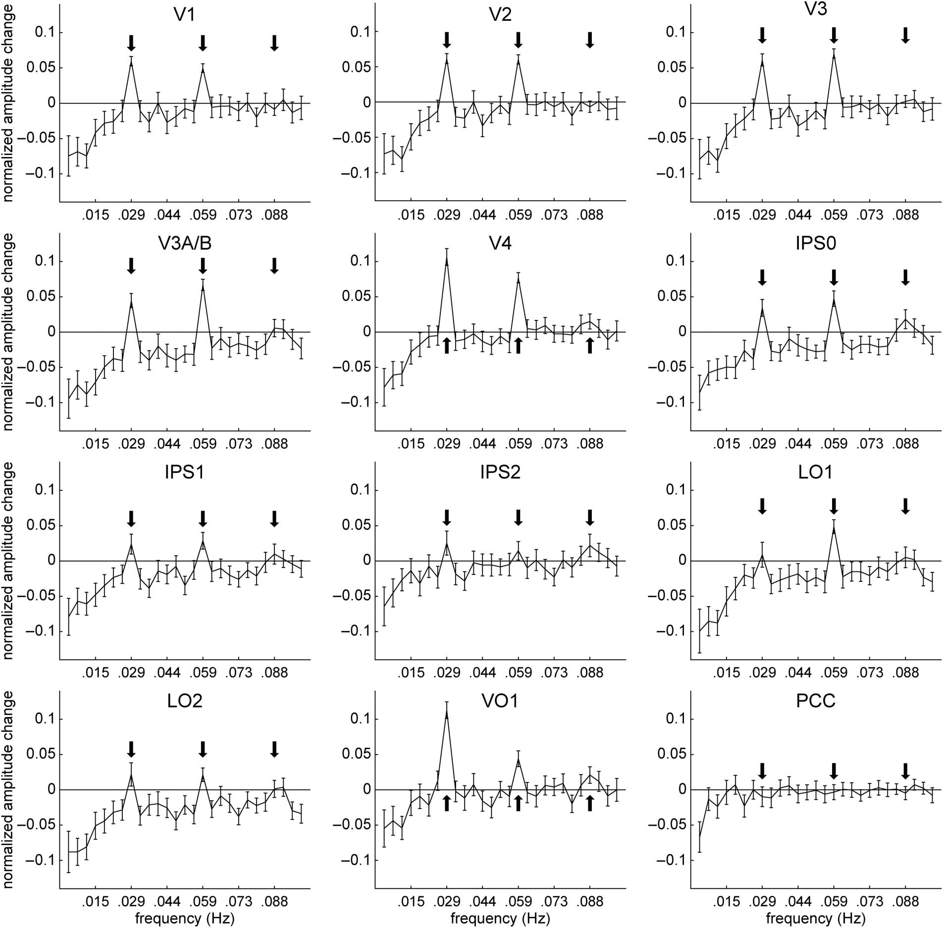 Slow Endogenous Fluctuations in Cortical fMRI image