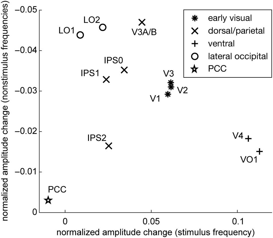 Slow Endogenous Fluctuations in Cortical fMRI image