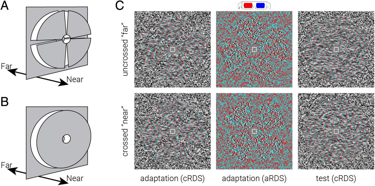 Adaptation to Binocular Anticorrelation Results image