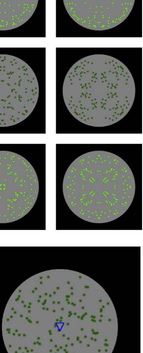 The Formation of Symmetrical Gestalts Is image