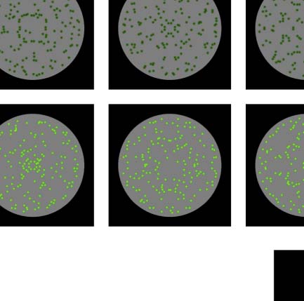 The Formation of Symmetrical Gestalts Is image