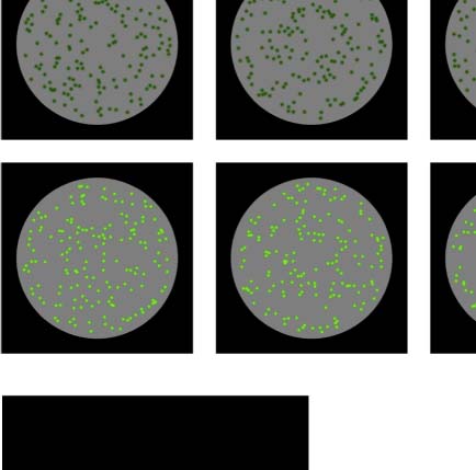 The Formation of Symmetrical Gestalts Is image