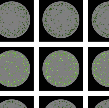 The Formation of Symmetrical Gestalts Is image