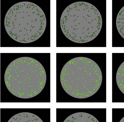 The Formation of Symmetrical Gestalts Is image