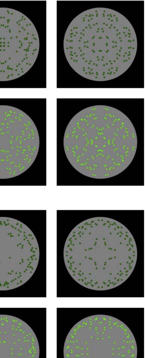 The Formation of Symmetrical Gestalts Is image