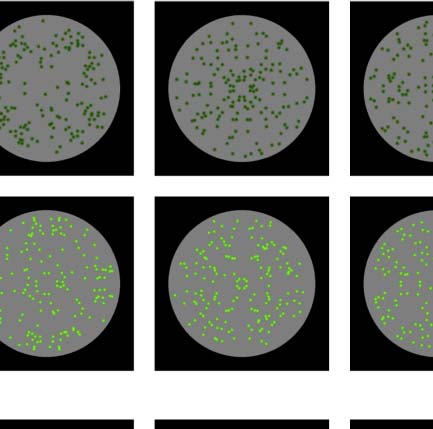 The Formation of Symmetrical Gestalts Is image