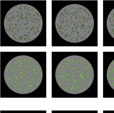 The Formation of Symmetrical Gestalts Is image