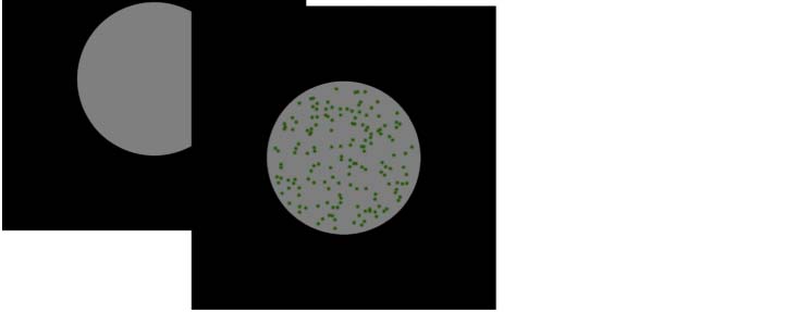 The Formation of Symmetrical Gestalts Is image