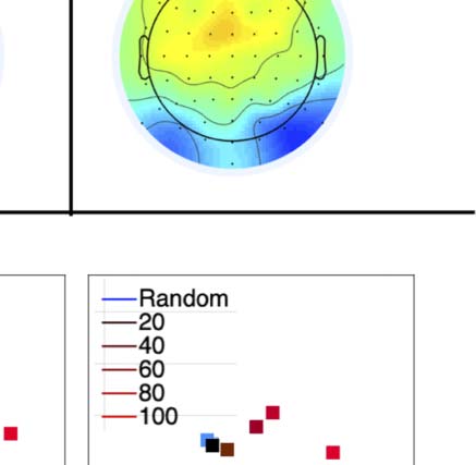 The Formation of Symmetrical Gestalts Is image