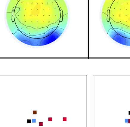 The Formation of Symmetrical Gestalts Is image