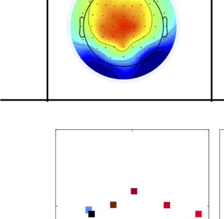 The Formation of Symmetrical Gestalts Is image