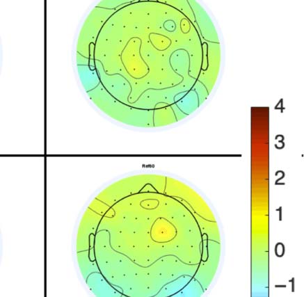 The Formation of Symmetrical Gestalts Is image