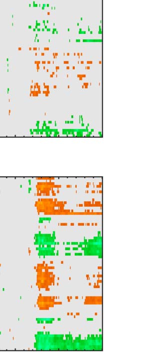 The Formation of Symmetrical Gestalts Is image