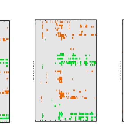 The Formation of Symmetrical Gestalts Is image