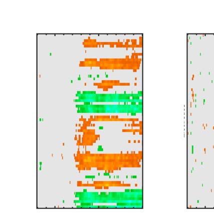 The Formation of Symmetrical Gestalts Is image