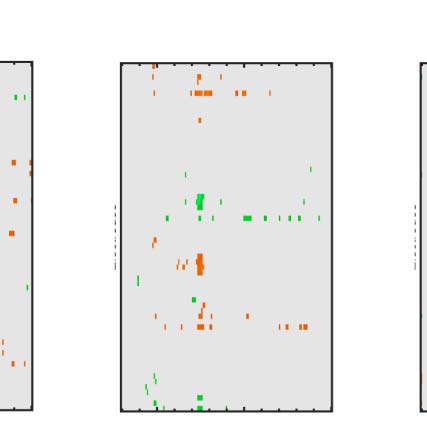 The Formation of Symmetrical Gestalts Is image