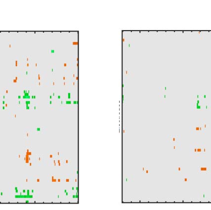 The Formation of Symmetrical Gestalts Is image